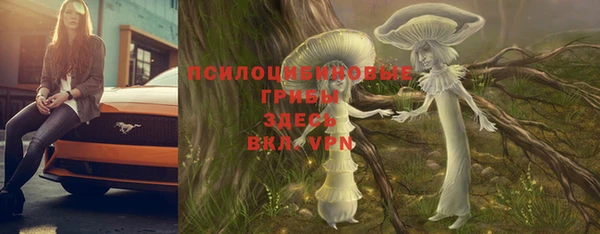 прущая мука Волоколамск
